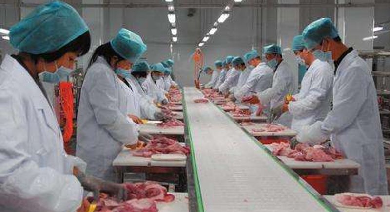 食品加工：传统与现代的碰撞